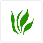 Naturheilkunde